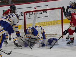 Sabres Panthers Hockey