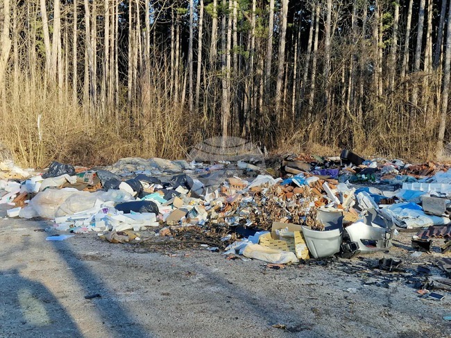 Доброволци организират акция по почистването на местността Войниковец в Перник 