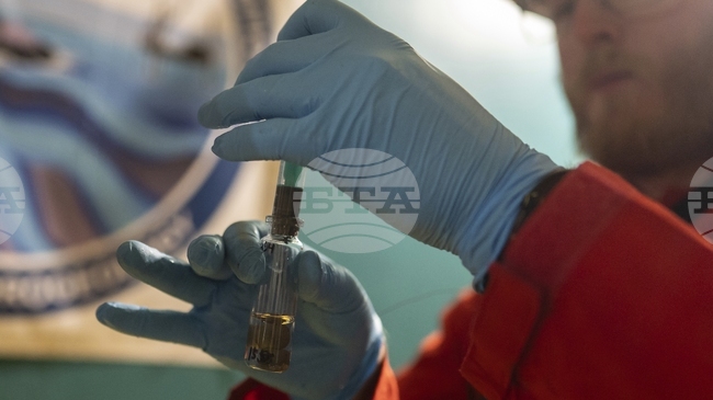 Животът се е възстановил почти мигновено след измирането на динозаврите, показва изследване