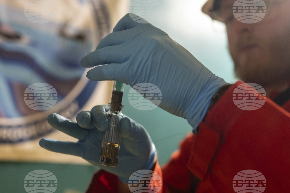 Животът се е възстановил почти мигновено след измирането на динозаврите, показва изследване