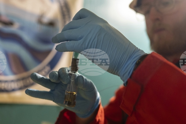 Животът се е възстановил почти мигновено след измирането на динозаврите, показва изследване