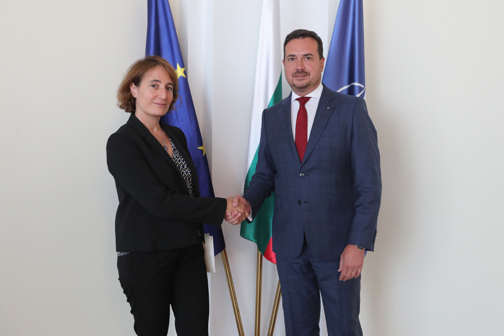 New French Ambassador Marie Dumoulin Presents Credentials to Foreign Ministry