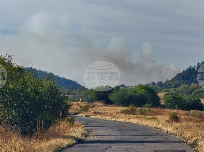 Продължава овладяването на пожара, възникнал този следобед на територията на Брезнишко