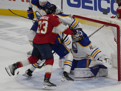Sabres Panthers Hockey