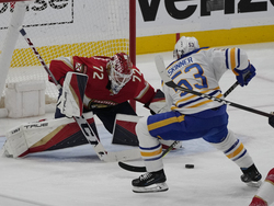 Sabres Panthers Hockey