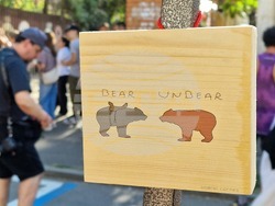 Румъния - Букурещ - "Балканик фестивал”