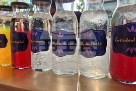 Румъния - Букурещ - "Балканик фестивал”