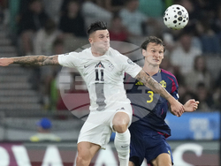 Slovenia Sweden WCup Soccer