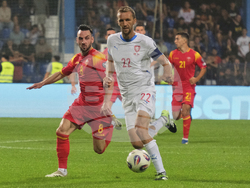 Montenegro Czech Republic WCup Soccer