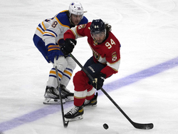 Sabres Panthers Hockey