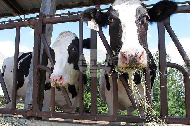 Drought Livestock Farmers