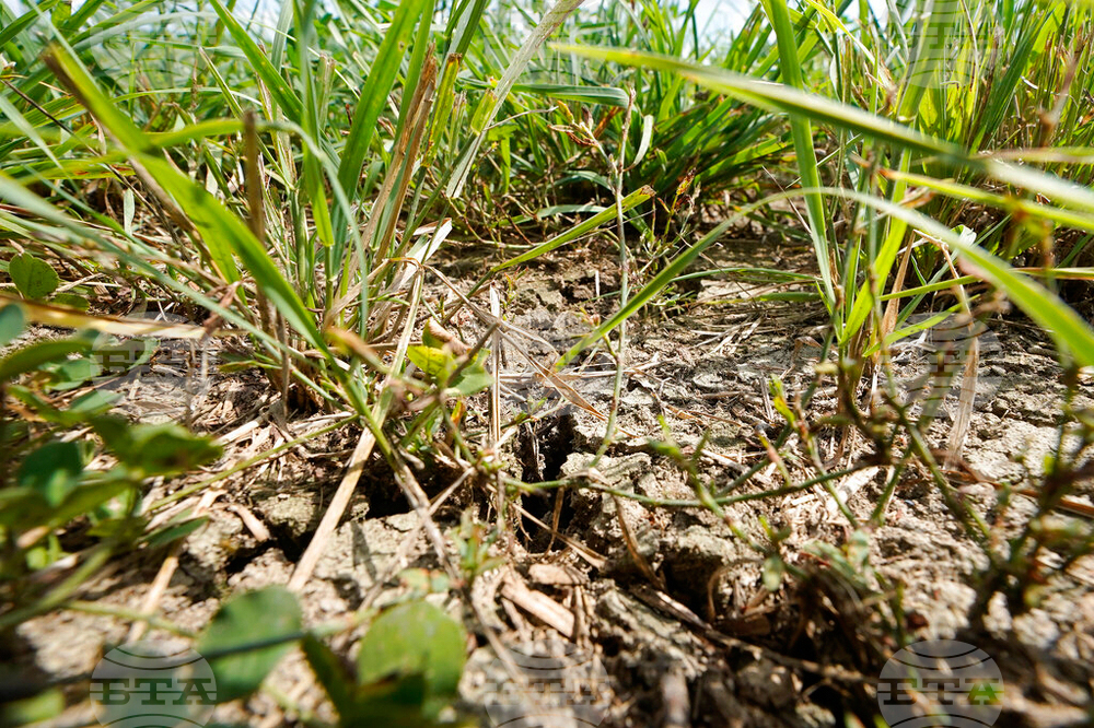 Drought Livestock Farmers