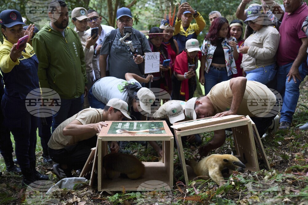 Venezuela Animal Release
