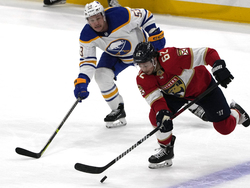 Sabres Panthers Hockey