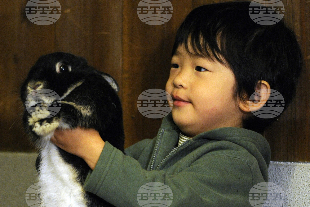 Japan Prince Hisahito