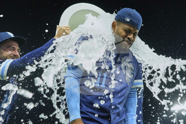 Twins Royals Baseball