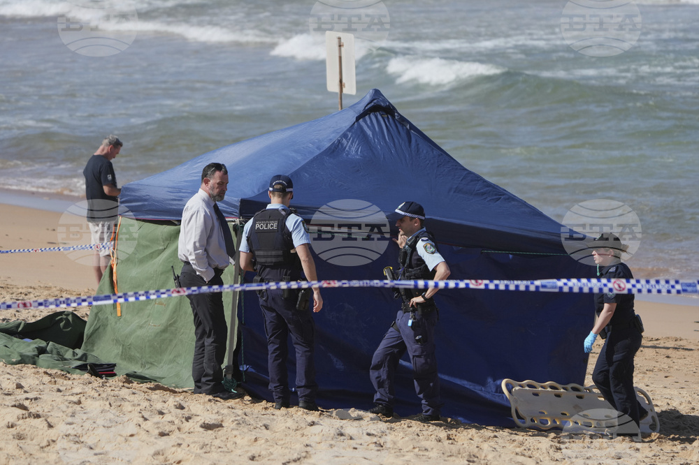 Australia Shark Attack