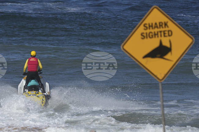 Австралия разчита на нови технологии в опит да се защити от акулите
