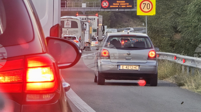 Бернската конвенция приветства напредъка по казуса с АМ "Струма" през Кресненското дефиле, съобщиха от МОСВ