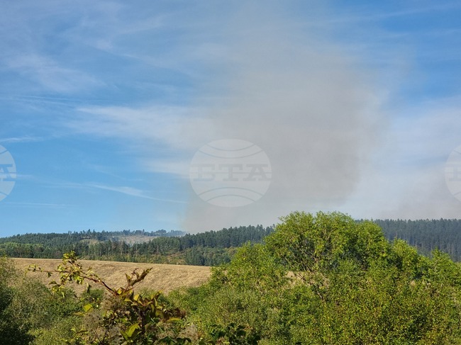 Пожарът, избухнал вчера на границата на общините Брезник и Сливница, е локализиран и в двете посоки