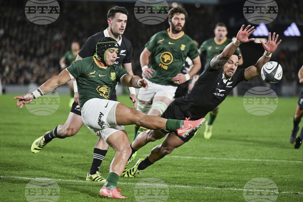 New Zealand South Africa Rugby