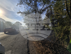 Враца - пожар край международен път Е79