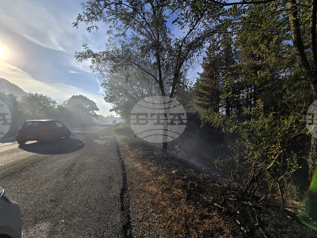 Пожар гори по пътя между Раднево и Гълъбово