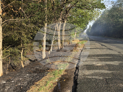 Враца - пожар край международен път Е79