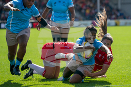 RWC Wales Fiji Rugby