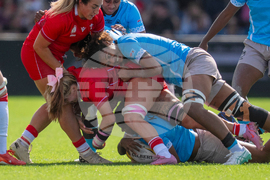 RWC Wales Fiji Rugby