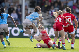 RWC Wales Fiji Rugby