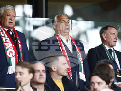 Ireland Hungary WCup Soccer