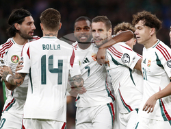 Ireland Hungary WCup Soccer