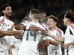 Ireland Hungary WCup Soccer