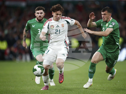 Ireland Hungary WCup Soccer