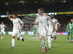 Ireland Hungary WCup Soccer