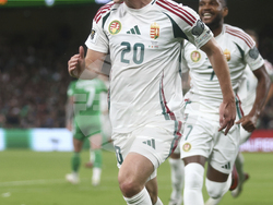 Ireland Hungary WCup Soccer