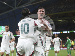 Ireland Hungary WCup Soccer