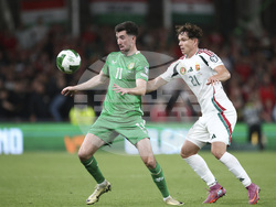 Ireland Hungary WCup Soccer