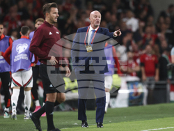 Ireland Hungary WCup Soccer