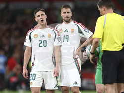 Ireland Hungary WCup Soccer