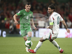 Ireland Hungary WCup Soccer