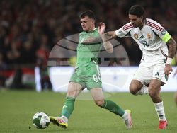 Ireland Hungary WCup Soccer