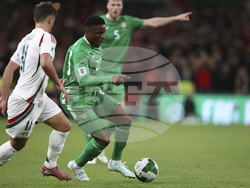 Ireland Hungary WCup Soccer