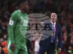 Ireland Hungary WCup Soccer