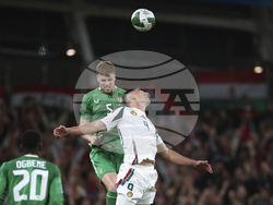 Ireland Hungary WCup Soccer