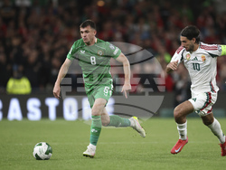 Ireland Hungary WCup Soccer