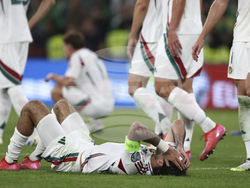 Ireland Hungary WCup Soccer