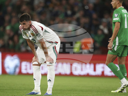 Ireland Hungary WCup Soccer