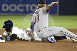 Guardians Rays Baseball